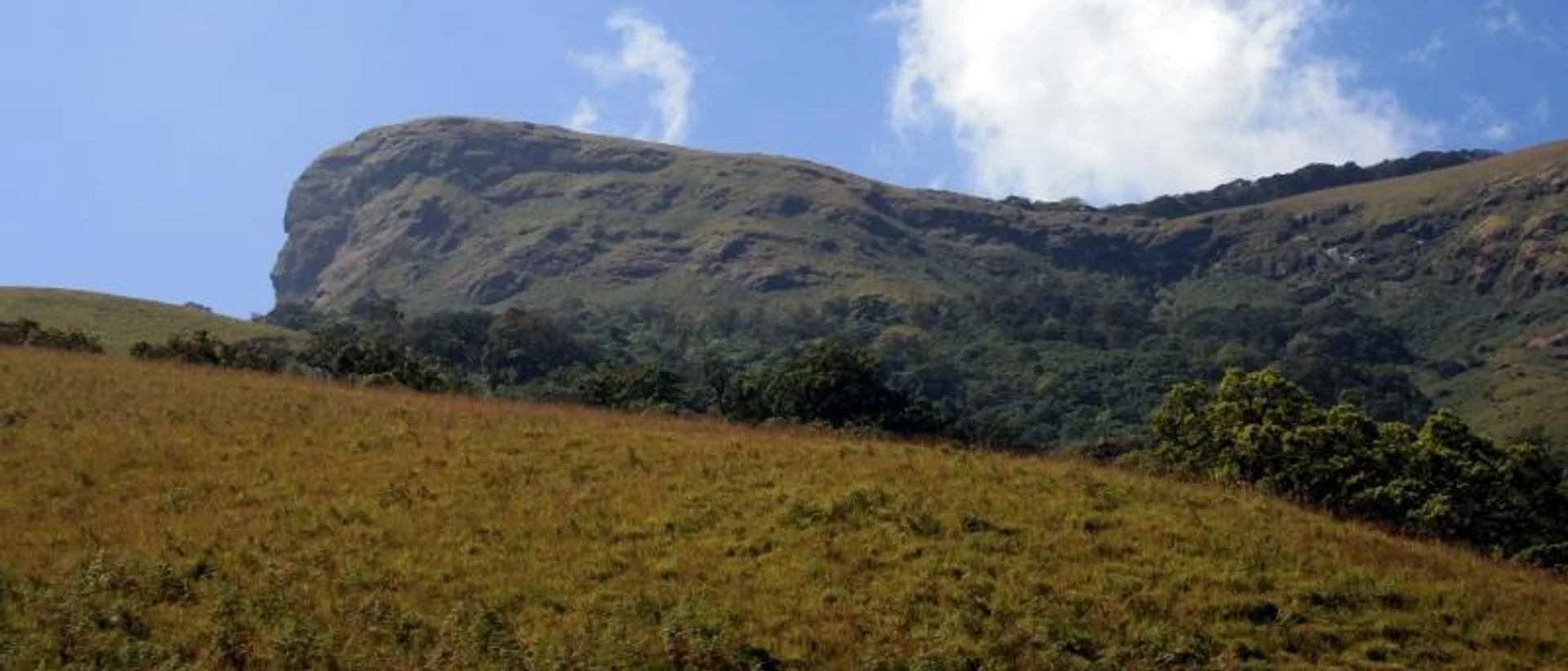 The horse-face summit ridge of Kudremukh Peak, seen from the approach trail