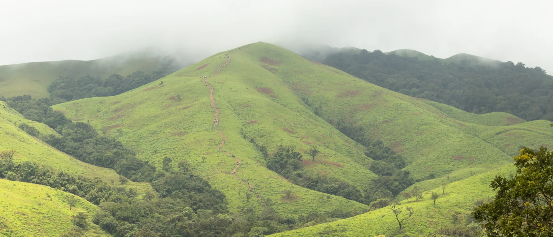 The marked trekking trail climbing Nethravati Peak, Kudremukh National Park